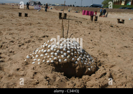 Muscheln und Sandburg Stockfoto