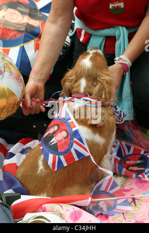 Besucher camping außerhalb Westminster Abbey, die königliche Hochzeit in London mit Hund und Flagge, UK anzeigen Stockfoto