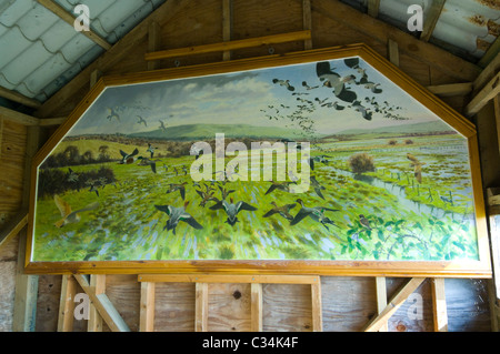 Innen Vogel verstecken bei Pulborough Brooks Nature RSPB Reserve West Sussex UK Stockfoto