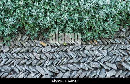 Eine sorgfältig gebaute Trockensteingartenmauer in Caerhays, Cornwall, Großbritannien Stockfoto