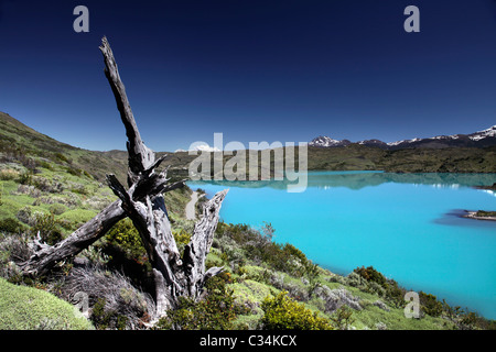 Ansichten im Torres del Paine, Patagonien, Chile, Südamerika. Stockfoto