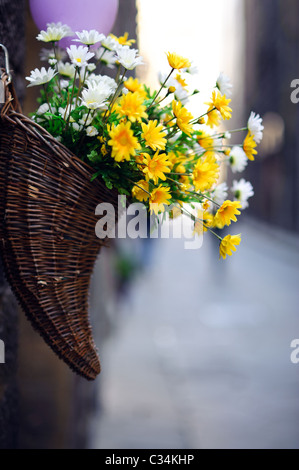 Blumentopf im freien Stockfoto