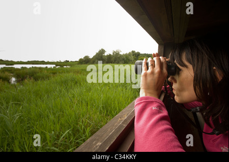 Kaukasisches Weibchen, das durch ein Fernglas schaut, aus einer Luke in einem Vogelbeobachtungsversteck, Leighton Moss, Großbritannien. Stockfoto