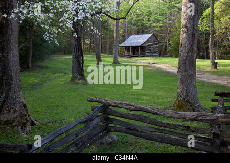 Great-Smoky-Mountains-Nationalpark, Tennessee - Carter Schilde Kabine in Cades Cove. Stockfoto