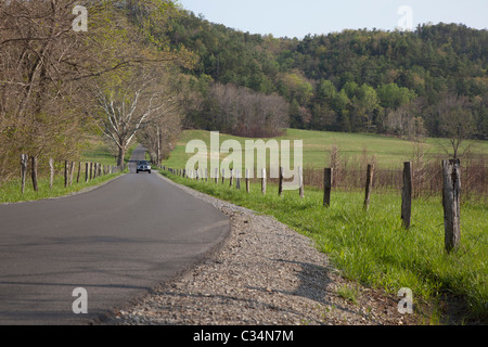 Great-Smoky-Mountains-Nationalpark, Tennessee - Auto auf einer Straße in Cades Cove. Stockfoto