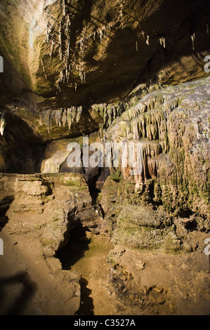 Ingleborough Höhle, Clapham, North Yorkshire Dales. Stockfoto