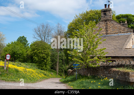 Wollgras im Mallerstang-Tal in der Nähe von Kirkby Stephen Stockfoto