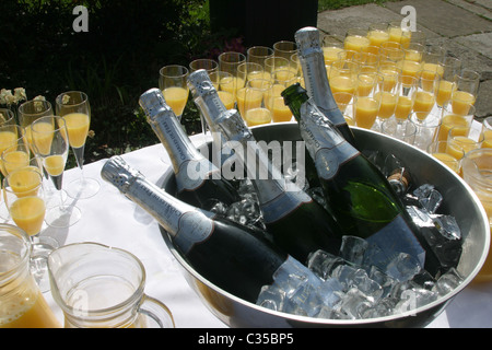 6 Flaschen Sekt in einem Eiskübel Stockfoto
