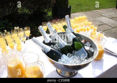 6 Flaschen Sekt in einem Eiskübel Stockfoto