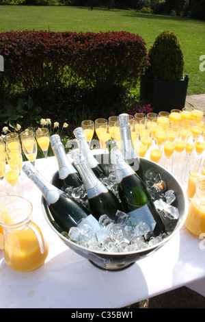 6 Flaschen Sekt in einem Eiskübel Stockfoto