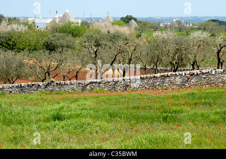Apulische Landschaft Blick, Süditalien Stockfoto