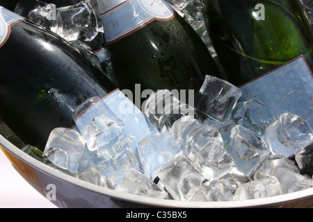 6 Flaschen Sekt in einem Eiskübel Stockfoto