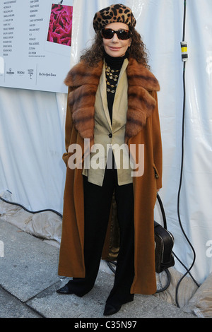 Marisa Berenson Mercedes-Benz IMG New York Fashion Week Herbst 2009 - Diane von Furstenberg - draußen Ankünfte New York City, USA Stockfoto