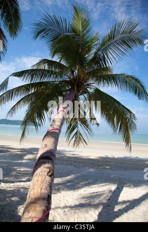 Tropischer Traumstrand am Pantai Cenang auf Langkawi, Malaysia 2 Stockfoto