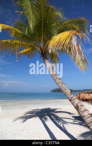 Tropischer Traumstrand am Pantai Cenang auf Langkawi, Malaysia 4 Stockfoto
