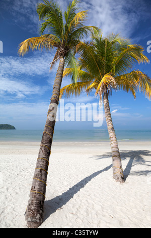 Tropischer Traumstrand am Pantai Cenang auf Langkawi, Malaysia 9 Stockfoto