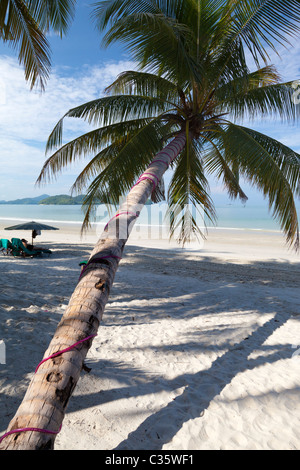 Tropischer Traumstrand am Pantai Cenang auf Langkawi, Malaysia Stockfoto