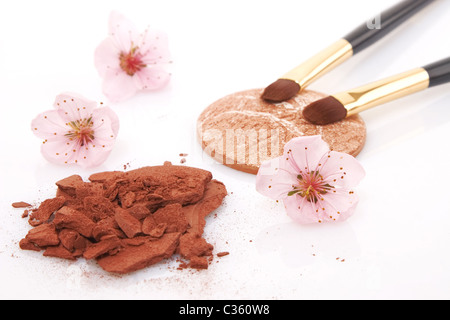 braune Pulver für Make-up, Blumen und zwei Pinsel Stockfoto