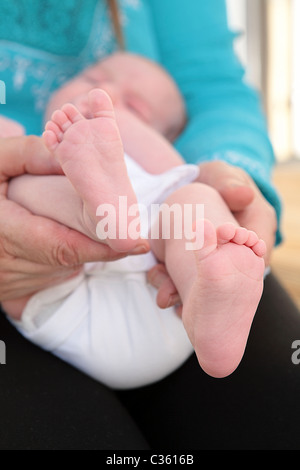 Nahaufnahme von sechs Wochen alten weiblichen Neugeborenen Füße. Deutschland Stockfoto