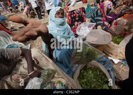 Straßenszene mit Khat Verkäufer - Altstadt, Harar Äthiopien, Afrika Stockfoto