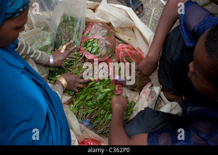 Straßenszene mit Khat Verkäufer - Altstadt, Harar Äthiopien, Afrika Stockfoto