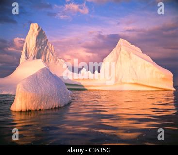 Eisberg in Iceberg Alley vor der großen nördlichen Halbinsel, St. Anthony, Labrador und Neufundland, Kanada Stockfoto