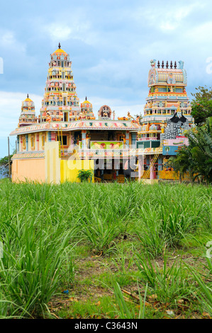 Ein Hindu Kali Tempel in der Nähe von Medine Estate und Zucker Mühle in Médine, Black River, Mauritius. Stockfoto