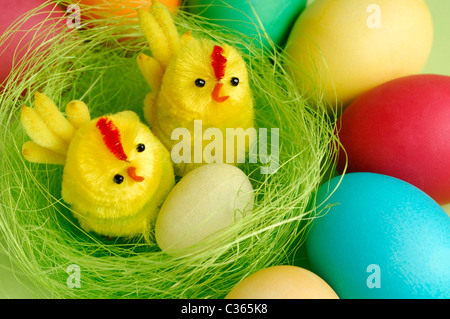 Bunte Ostereier und zwei dekorativen Küken in einem Nest festlichen Stillleben Stockfoto