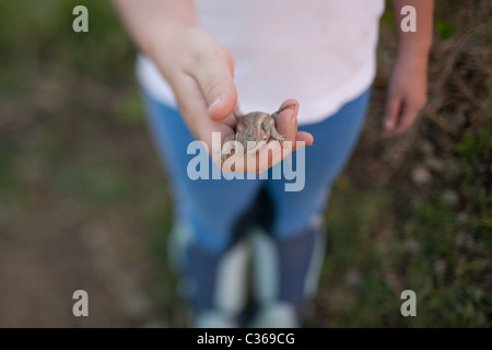 Nahaufnahme von Mädchen Holding Eidechse Stockfoto