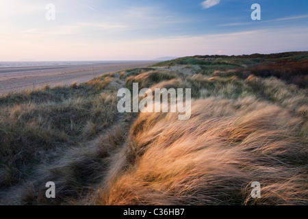 Berrow Dünen mit Brean unten in der Ferne. Somerset. England. VEREINIGTES KÖNIGREICH. Stockfoto