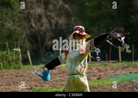 Weibliche Landwirtschaft Vogelscheuche fließende Kleid tragen in Feld am Wray jährliche Vogelscheuchen und Dorffest Event, Lancaster, Lancashire, Großbritannien Stockfoto