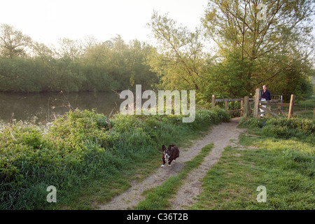 Ein Mann geht seinen Hund entlang der Thames Path in Wallingford, Oxfordshire Stockfoto