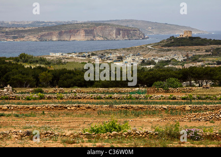 Marfa Ridge Spaziergang Insel malta Stockfoto