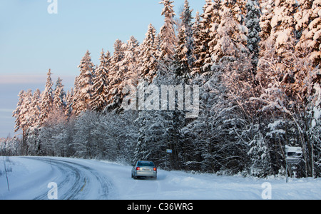 Blick auf die finnische Landstraße und schneebedeckte Fichtenbäume (Picea Abies) im Taiga-Wald, Finnland Stockfoto