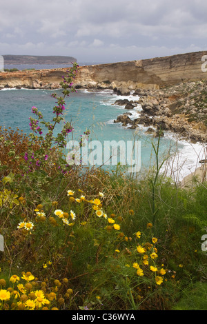 Marfa Ridge Spaziergang Insel malta Stockfoto