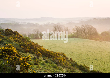 Misty Dawn im zeitigen Frühjahr in der Nähe von Corfe Castle Dorf, Dorset, Großbritannien Stockfoto
