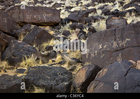 Indianische Petroglyphen in Rinconada Canyon im Petroglyph National Monument, Albuquerque, New Mexico, USA. Stockfoto