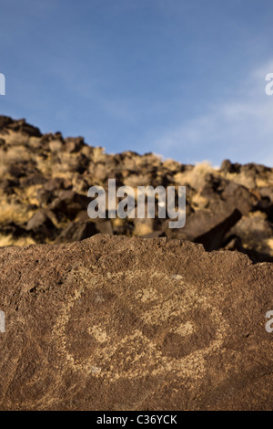 Indianische Petroglyphen in Rinconada Canyon im Petroglyph National Monument, Albuquerque, New Mexico, USA. Stockfoto