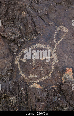 Uralten Puebloan Petroglyph in Rinconada Canyon im Petroglyph National Monument, Albuquerque, New Mexico, USA. Stockfoto