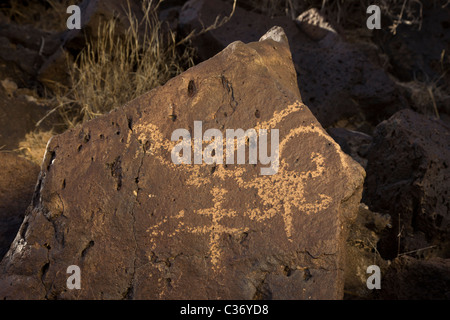 Indianische Petroglyphen in Rinconada Canyon im Petroglyph National Monument, Albuquerque, New Mexico, USA. Stockfoto