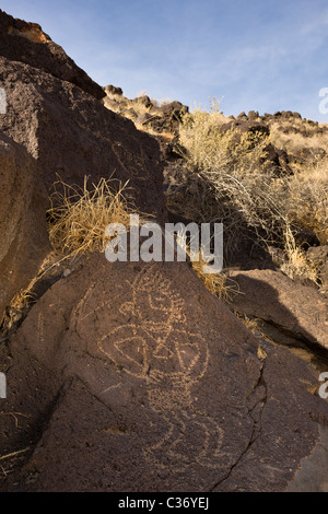 Uralten Puebloan Petroglyph in Rinconada Canyon im Petroglyph National Monument, Albuquerque, New Mexico, USA. Stockfoto