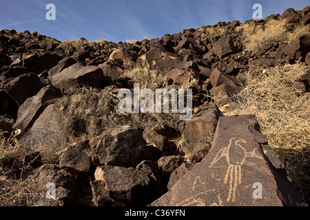 Indianische Petroglyphen repräsentieren eine Ara im Petroglyph National Monument, Albuquerque, New Mexico, USA. Stockfoto