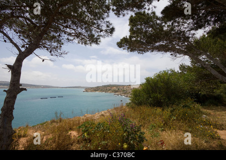 Marfa Ridge Spaziergang Insel malta Stockfoto