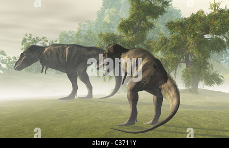 Zwei Tyrannosaurus Rex Dinosaurier ruhen im Licht frühen Morgens, bevor die Tage zu jagen. Stockfoto