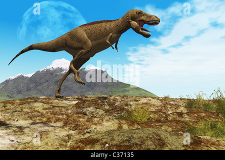 Ein Tyrannosaurus Rex Dinosaurier führt durch sein Revier. Stockfoto