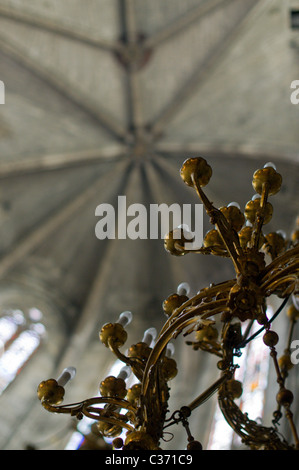 Rippe gewölbten Dach, Narbonne Kathedrale Stockfoto