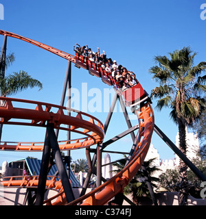 Der Skorpion Roller Coaster Ride, Freizeitpark Busch Gardens, Tampa, Florida, USA. Stockfoto