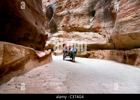 Touristen erhalten Ritt auf einem Pferd gezeichneten Wagen durch die schmale PASSAGE in THE stieg rot CITY in PETRA. Jordanien Stockfoto