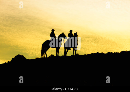 Silhouette der beiden Pferde mit Reitern Stockfoto