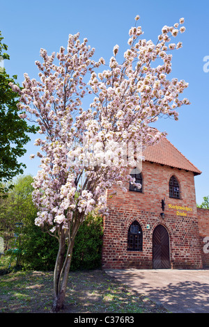 Der Nachtwächter Zimmer in Trutzer, Reste der Stadtmauer in Lübben, Spreewald, Niederlausitz, Land Brandenburg, Deutschland Stockfoto